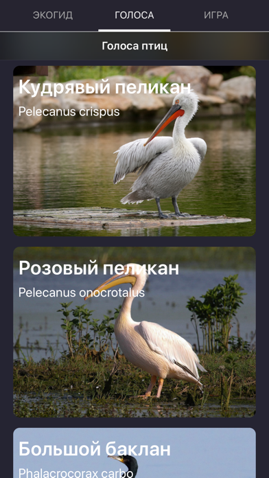 Экогид - Голоса птиц Screenshot 1