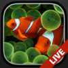 Aquarium Live Hintergründe + - Voros Innovation