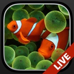 Download Aquarium Dynamic Wallpapers+ app