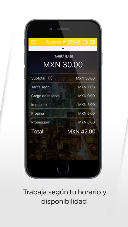 SerVIPartner Conductor