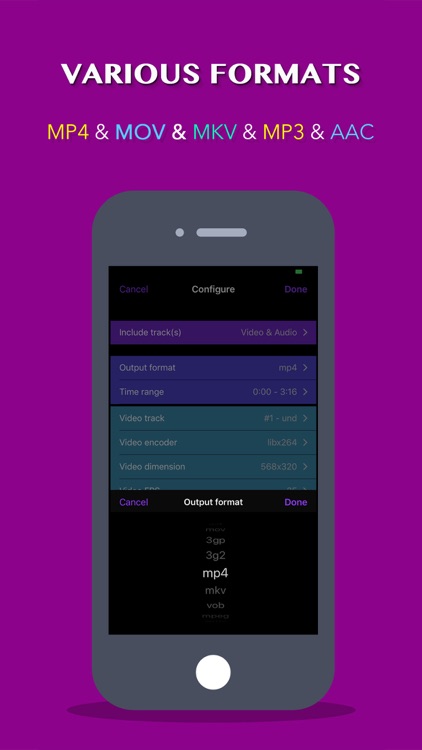 Video Converter: Format Editor screenshot-3