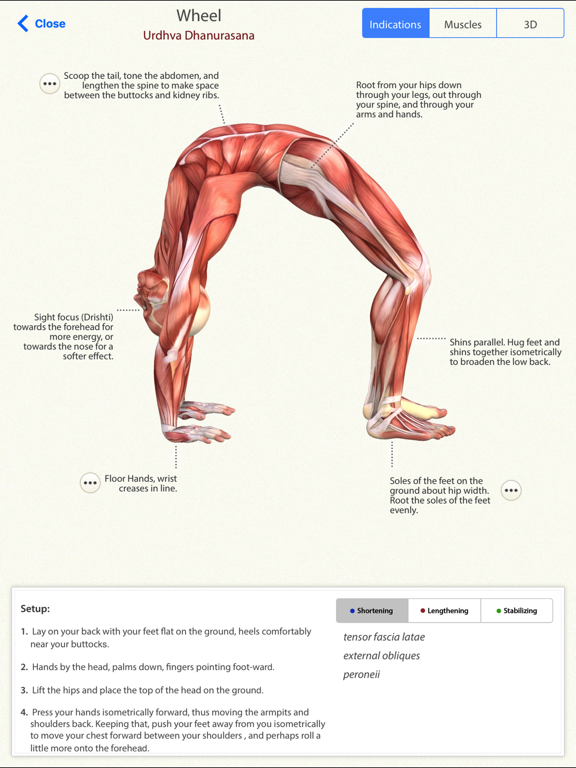 Screenshot #5 pour 3D Yoga Anatomy Lite