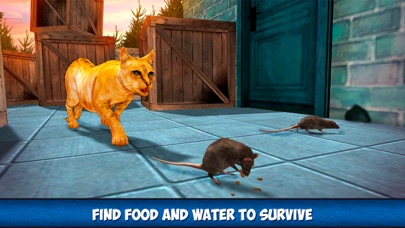 Home Kitty City Survival Sim screenshot 4