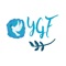 The YGF community app