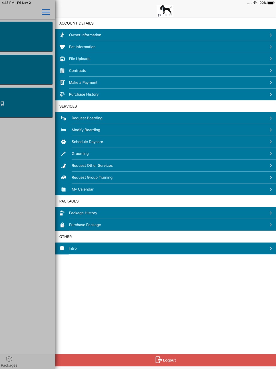 iPad screenshot