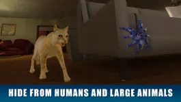 Game screenshot House Spider Survival Simulator 3D hack