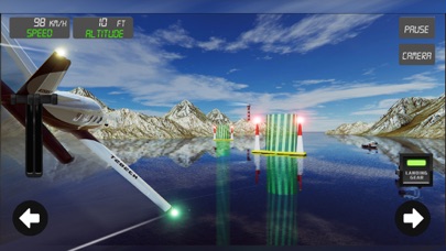 Pilot Airplane Flight 3D screenshot 3