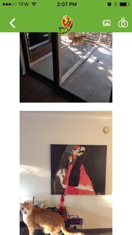 Pack & Track screenshot-5