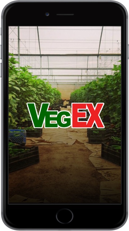 Vegex