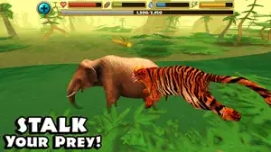 Tiger Simulator screenshot #1 for iPhone