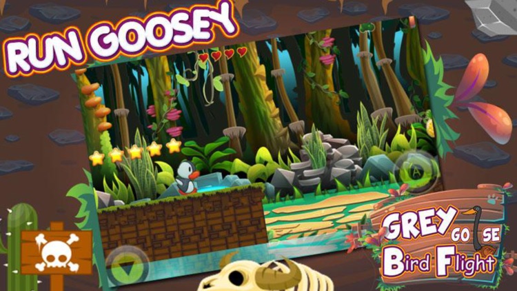 Super Duck Bird - Fun Ducky screenshot-4