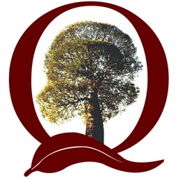 QAA Member