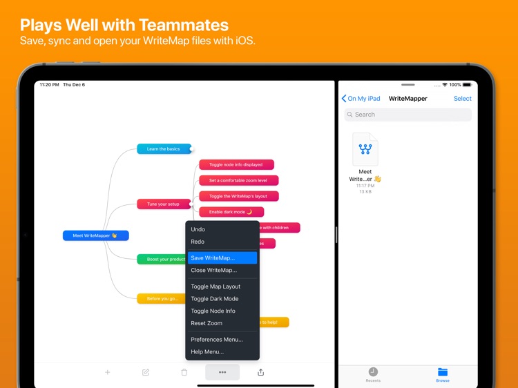 WriteMapper 2: Mind Map (iPad) screenshot-4