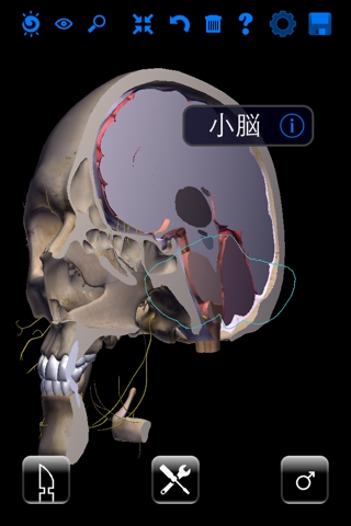 ザイゴット3D人体解剖 screenshot 2