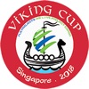 VikingCup Football