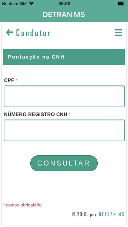 DETRAN MS screenshot-7
