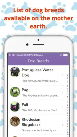 Game screenshot DogWiki mod apk