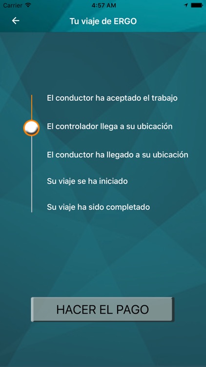 Ergo - Servicio de Transporte screenshot-3