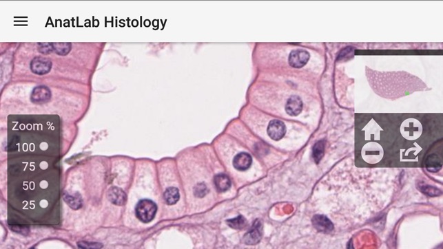 AnatLab Histology(圖5)-速報App