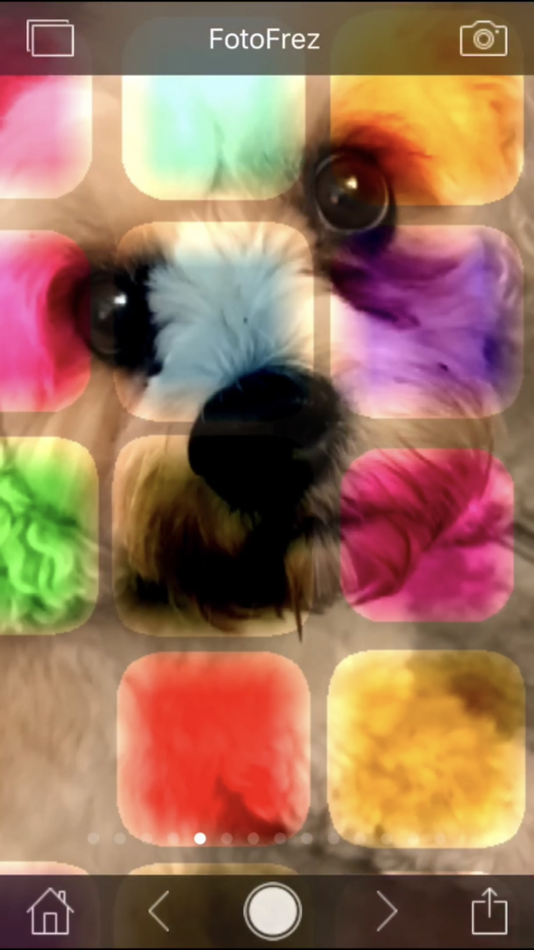 #4. Sensory FotoFrez - Fun Fotos (iOS) 由: Sensory App House Ltd