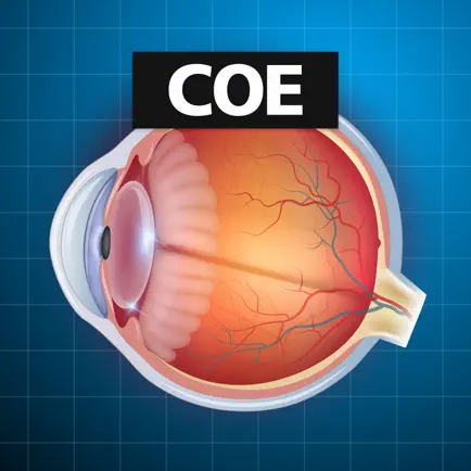 COE Prep Читы
