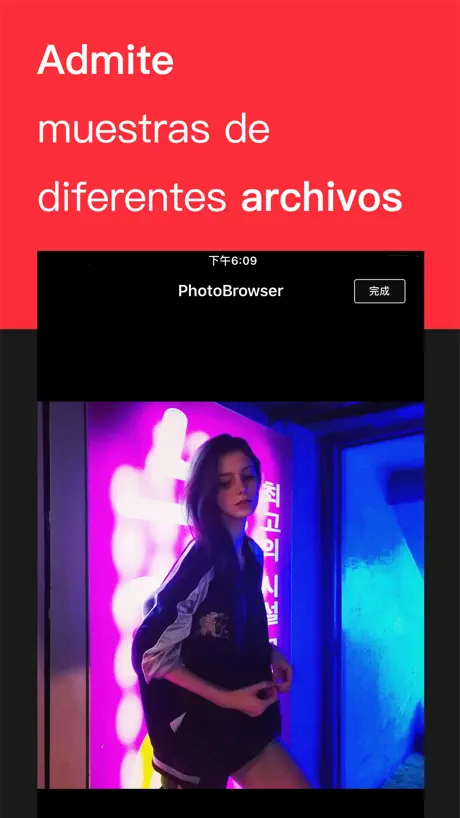 Conmutador de formatos
