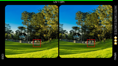 Find The Differences Landscape iPhone screenshot