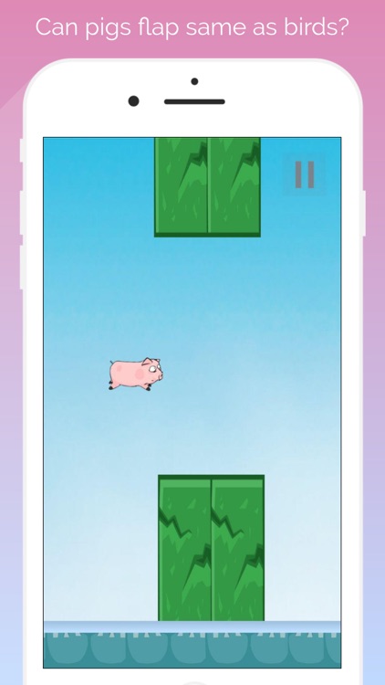 Piggy Flap