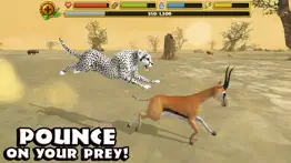 cheetah simulator iphone screenshot 3