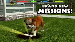 stray dog simulator iphone screenshot 4