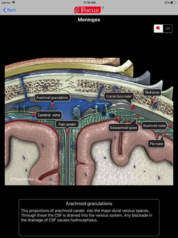 NEUROANATOMY - Digital Anatomyのおすすめ画像4