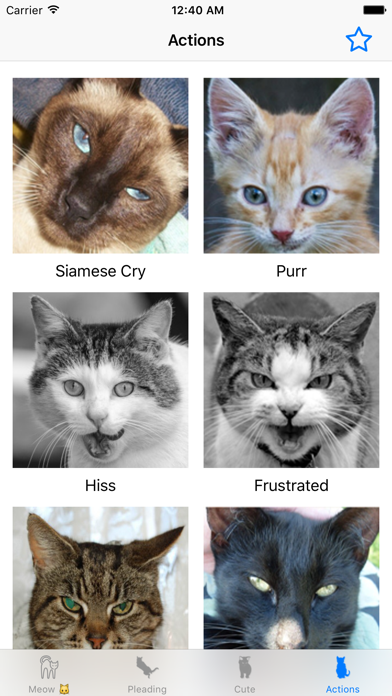 Screenshot #1 pour Son de chat- amoureux de chat