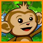 A Baby Monkey Run App Contact