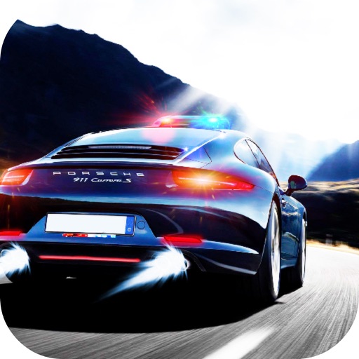 Highway Police Car Driving icon