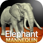 Top 19 Education Apps Like Elephant Mannequin - Best Alternatives