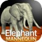 Elephant Mannequin