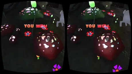 Mushrooms XR