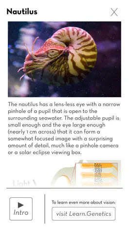 Game screenshot See Neuroscience apk