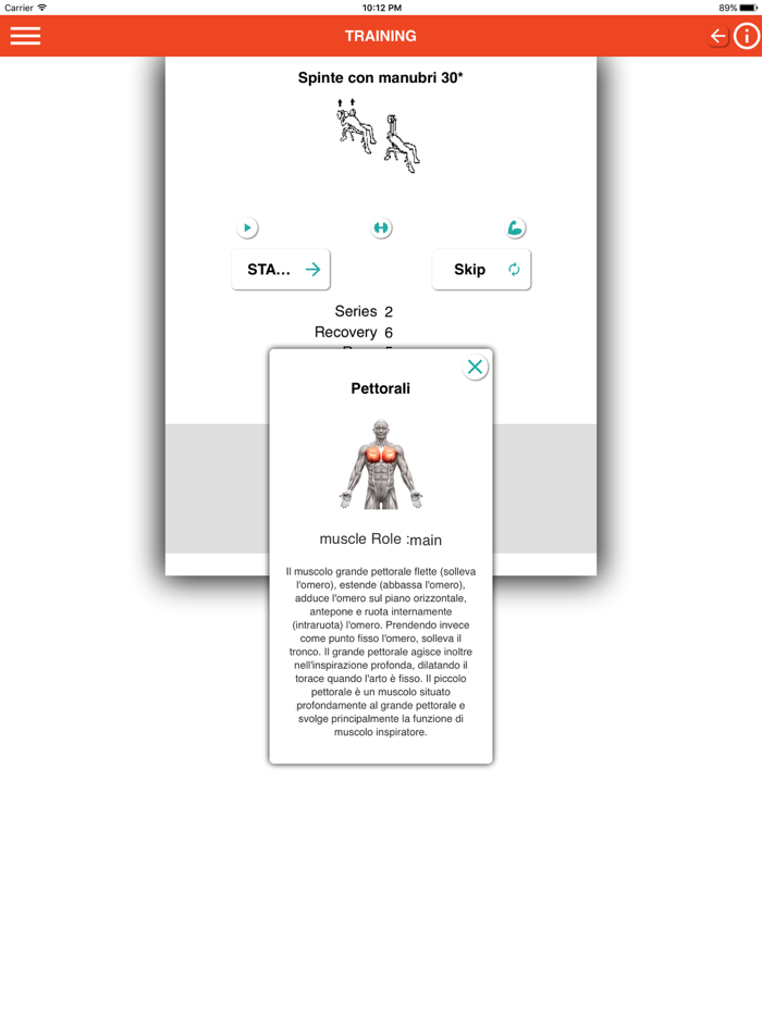 Gymnastic Club LabbyGym