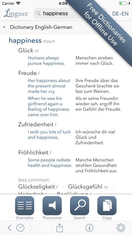 Dictionary Linguee
