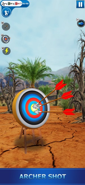 Archery Shoot