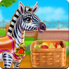 Activities of Zebra Caring