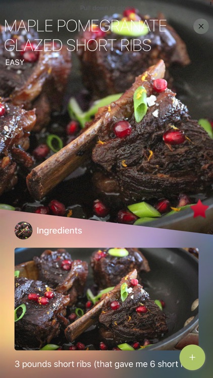 Paleo Diet App