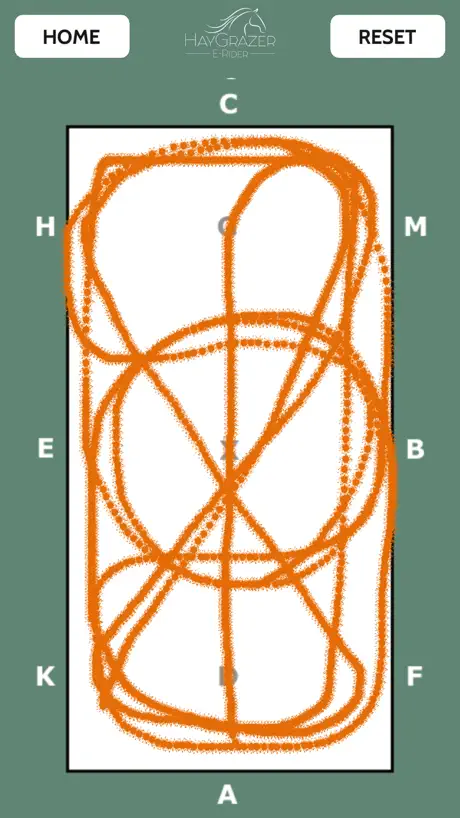 Learn A Dressage Test Board