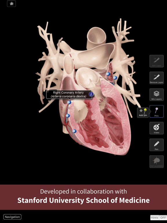 Heart Pro III Screenshot 0