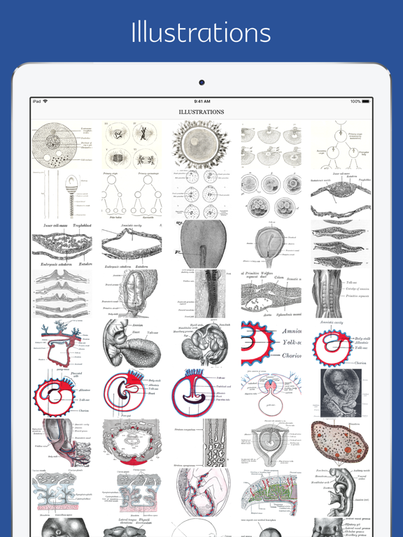 Anatomy of Human Body - audio iPad screenshot