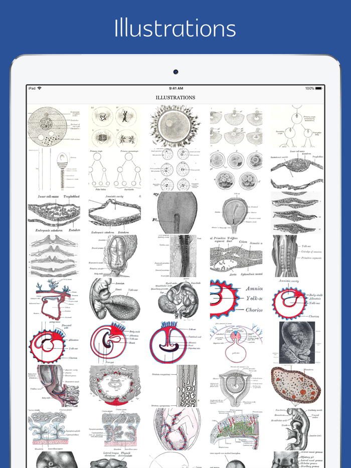 Anatomy of Human Body - audio