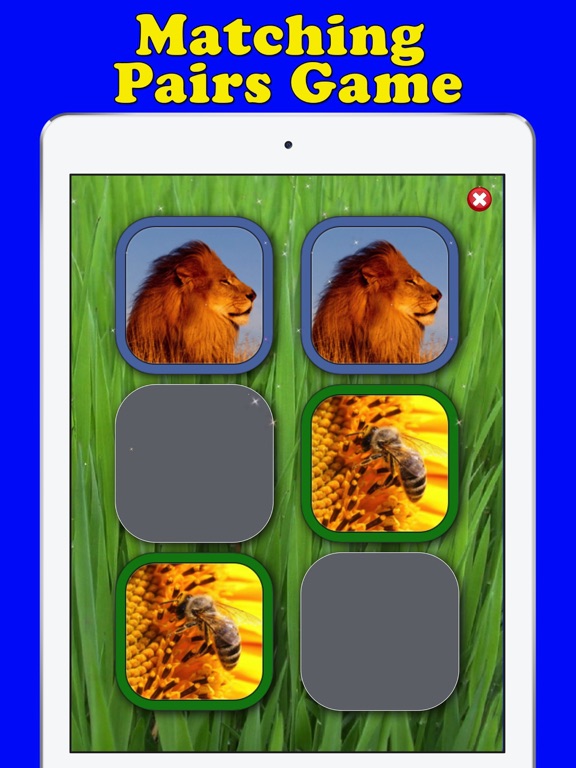 Play & Learn Animal Flashcards iPad screenshot 4 - Games app