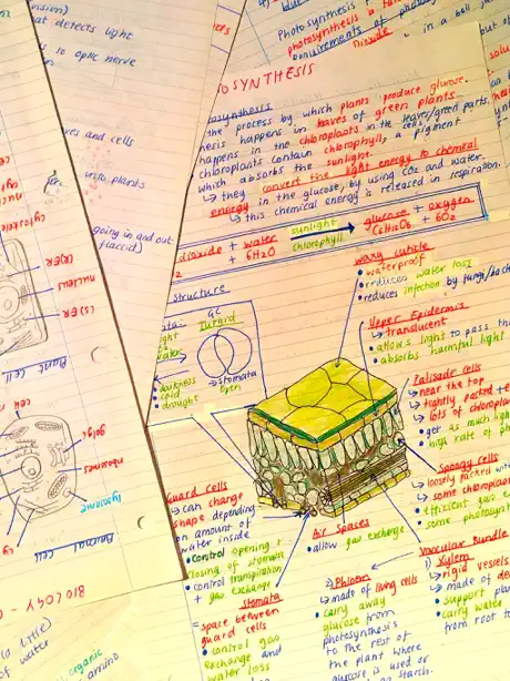 Pocket Notes - GCSE Science