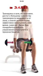 Бицуха айфон картинки 2